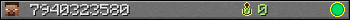 7940323580 userbar 350x20