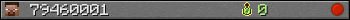 79460001 userbar 350x20