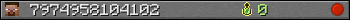 7974958104102 userbar 350x20