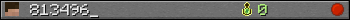 813496_ userbar 350x20