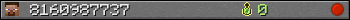 8160987737 userbar 350x20