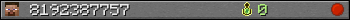 8192387757 userbar 350x20