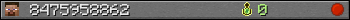 8475958862 userbar 350x20