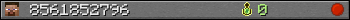 8561852796 userbar 350x20