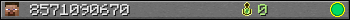 8571090670 userbar 350x20