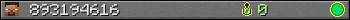 893194616 userbar 350x20
