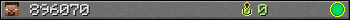 896070 userbar 350x20