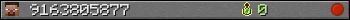 9163805877 userbar 350x20