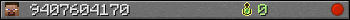 9407604170 userbar 350x20