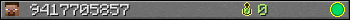 9417705857 userbar 350x20