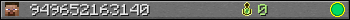 949652163140 userbar 350x20