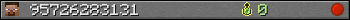 95726283131 userbar 350x20