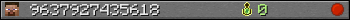 9637927435618 userbar 350x20