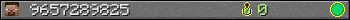 9657289825 userbar 350x20