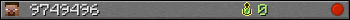 9749496 userbar 350x20