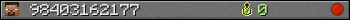 98403162177 userbar 350x20