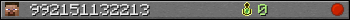 992151132213 userbar 350x20