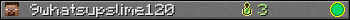 9whatsupslime120 userbar 350x20