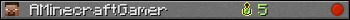 AMinecraftGamer userbar 350x20