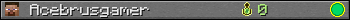 Acebrusgamer userbar 350x20