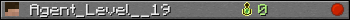 Agent_Level__19 userbar 350x20