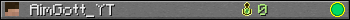 AimGott_YT userbar 350x20