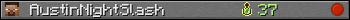 AustinNightSlash userbar 350x20