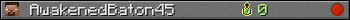 AwakenedBaton45 userbar 350x20