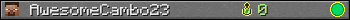 AwesomeCambo23 userbar 350x20