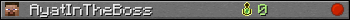 AyatInTheBoss userbar 350x20