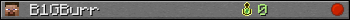 B1GBurr userbar 350x20