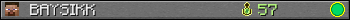 BAYSIKK userbar 350x20