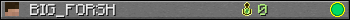 BIG_FORSH userbar 350x20