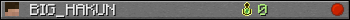 BIG_HAKUN userbar 350x20