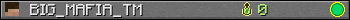 BIG_MAFIA_TM userbar 350x20