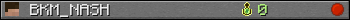 BKM_NASH userbar 350x20