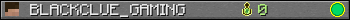 BLACKCLUE_GAMING userbar 350x20