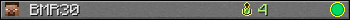BMR30 userbar 350x20
