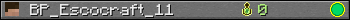 BP_Escocraft_11 userbar 350x20