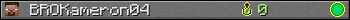 BROKameron04 userbar 350x20