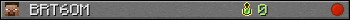 BRT6OM userbar 350x20