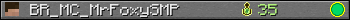 BR_MC_MrFoxySMP userbar 350x20