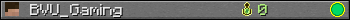 BVU_Gaming userbar 350x20