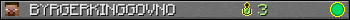 BYRGERKINGGOVNO userbar 350x20