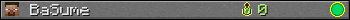 BaSume userbar 350x20