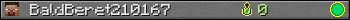 BaldBeret210167 userbar 350x20