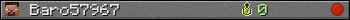 Benutzerleisten 350x20 für Baro57967