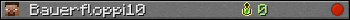 Bauerfloppi10 userbar 350x20