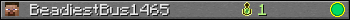 BeadiestBus1465 userbar 350x20