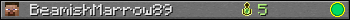 BeamishMarrow89 userbar 350x20